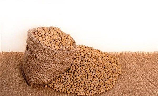 爱吃的人更健康，3种营养食物必不可少，补气润肺，排毒养颜！3