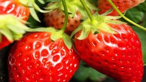 担心老太快，不妨多吃4种食物，补血益气，红润有光泽4