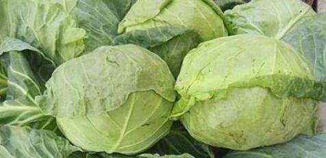 适合常吃的食物，排毒养颜，补血益气，降压降脂1