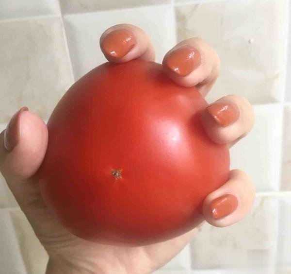 番茄和它一起煮，孩子吃增强记忆力，女人吃美白补水，养肝补血3