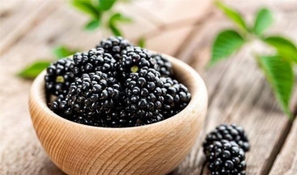 推荐3种食物，调节血脂，补血益气，气色好转1