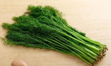 冬季养生，推荐常吃4种食物，滋阴补气，排毒养颜，清理子宫垃圾3