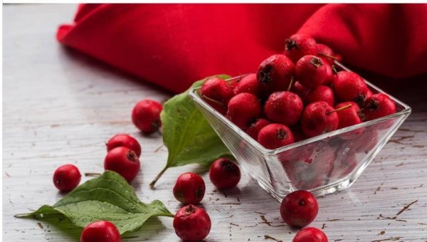 脂肪肝吃什么-脂肪肝吃什么食物好5