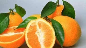 推荐3种适合中年人吃的食物1