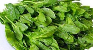 推荐3种适合女性常吃的食物3