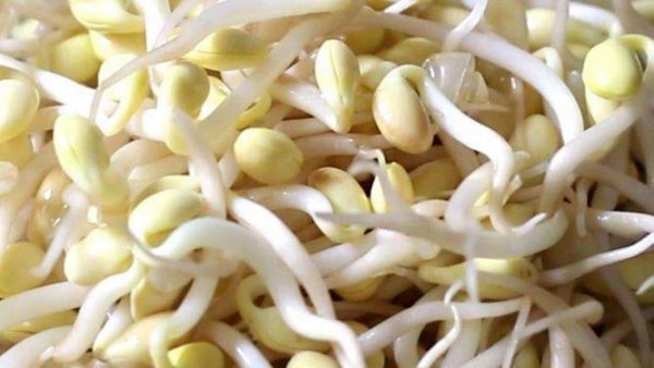 推荐3种适合女性吃了淡化皱纹的食物3