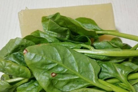 木耳菜米豆腐汤怎么做好吃-木耳菜米豆腐汤的做法4