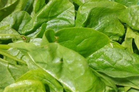 木耳菜米豆腐汤怎么做好吃-木耳菜米豆腐汤的做法5