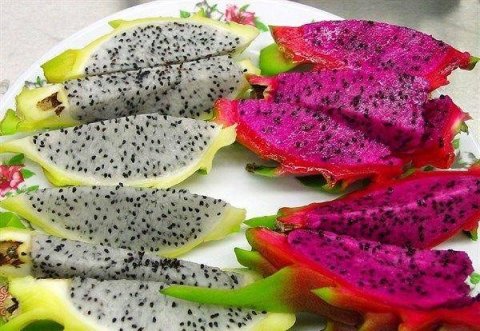 增强体质，排毒清肠，健胃助消化，常吃四种食物2