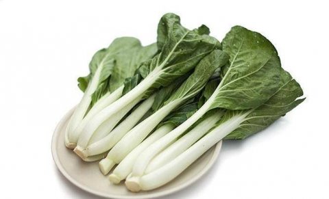 增强体质，排毒清肠，健胃助消化，常吃四种食物4