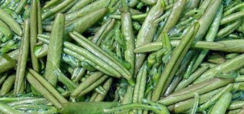 推荐【马兰、莼菜、韭黄、桑葚】，健胃消食，排毒润肠2