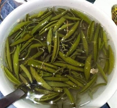 补血莼菜比阿胶强，每天来一盘，皮肤水润气色佳，清肠道3