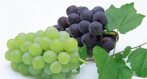 对身体好的3种食物，滋润皮肤，益气健脾3