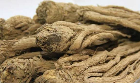 它【通血滞、补血虚、润血枯、抚血乱、散血寒】，使气血各有所归4