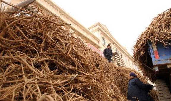 它【通血滞、补血虚、润血枯、抚血乱、散血寒】，使气血各有所归8