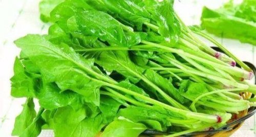 聪明的人常吃3种食物，健胃润肠，降压减脂，促进身体排毒2