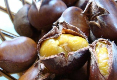 聪明女性常吃的3种食物，益气健脾、养血安神，值得推荐2