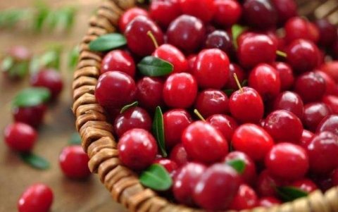 女性晚上当零食吃几颗，补血养颜，淡化色斑，气色足，早食早受益2