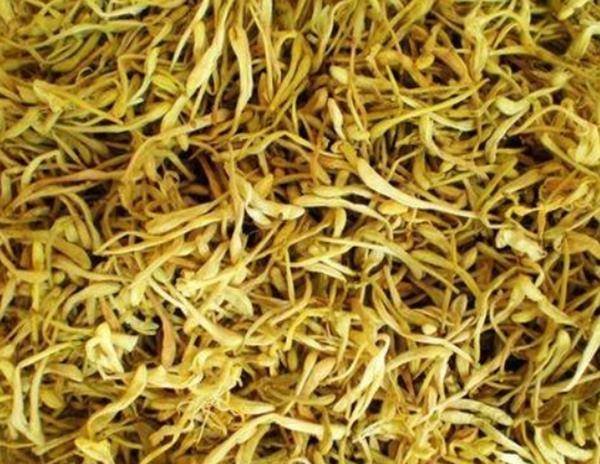 金银花人称【铺中仙】，抓一把用做食疗，毒素少了，眼睛更明亮！4