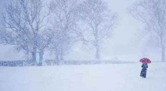 腊八节已过，但还是可以来一碗腊八粥，暖胃驱寒，扶阳补气1