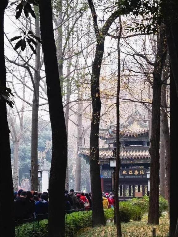 腊八节已过，但还是可以来一碗腊八粥，暖胃驱寒，扶阳补气3