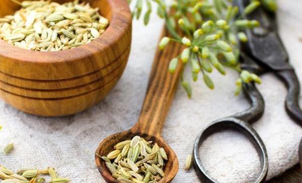 茴香除了可以健胃理气，还可以祛寒止痛，但是下面这些人不能食用1