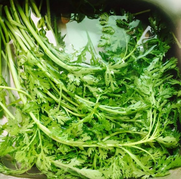 开春了，别忘记吃这【皇帝菜】，养脾健胃6