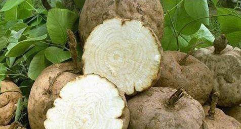 女性常吃3种食物，健胃消食，排毒清肠，安神助睡眠3