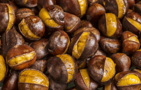 板栗的营养功效与作用1