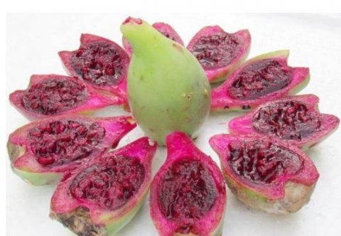 养肝护肝吃什么最好-养肝护肝的食物有哪些2