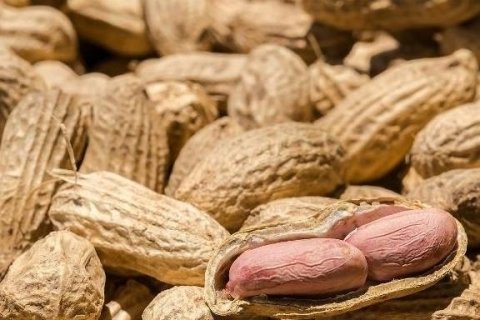 花生的吃法有哪些-花生的吃法与功效2