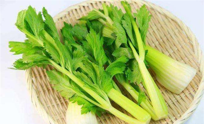 人到中年想长寿，要学会吃3种食物，开胃健脾、增进食欲3