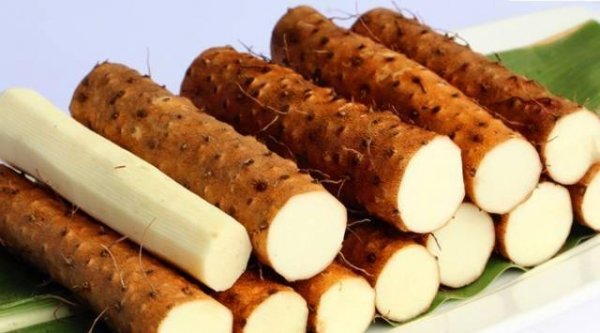 肾虚吃什么最好-肾虚食疗吃什么2