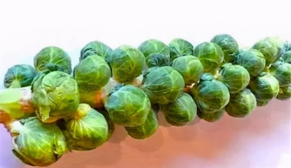 女性想要皮肤好吃什么？1