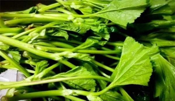 女性想要皮肤好吃什么？2