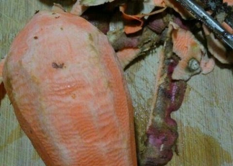 推荐一道【红糖地瓜桂圆粥】排毒养颜补血4