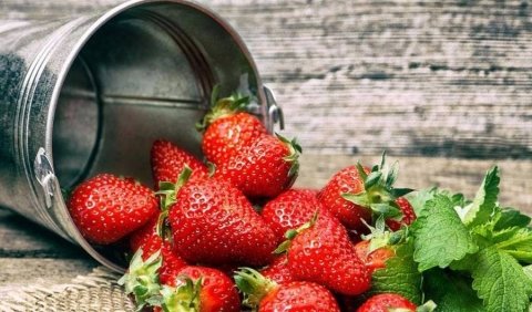 经期补血吃什么最好-推荐4道经期补血食物3