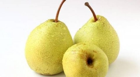 经期补血吃什么最好-推荐4道经期补血食物5