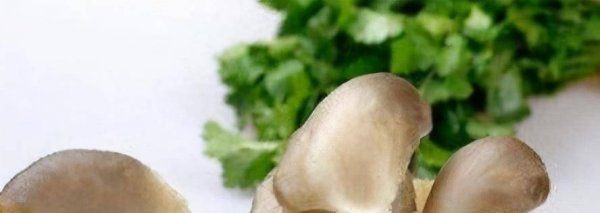 女性抗衰吃什么好-女人吃什么食物抗衰老最好1