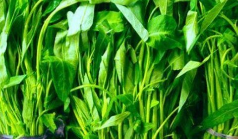 推荐3种排毒清肠的食物2