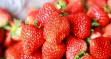 延缓衰老吃什么食物最好1