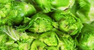 延缓衰老吃什么食物最好2