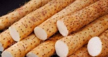 延缓衰老吃什么食物最好3