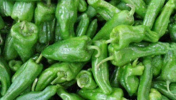 推荐3种提神醒脑的食物2