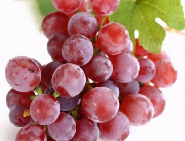 推荐3种提神醒脑的食物3