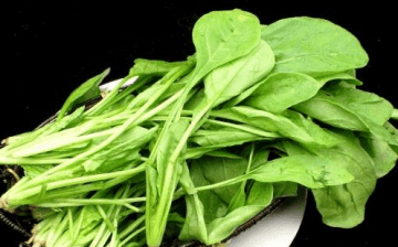 养生蔬菜有哪些-什么蔬菜营养好1