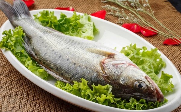 买鲈鱼怎么选-买鲈鱼肚子大的好还是小的好4