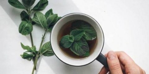 推荐7种最佳养胃食物-养胃最好的食物是什么3