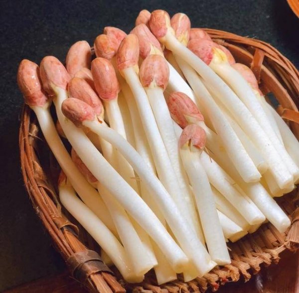 花生芽怎么做-花生芽的做法1