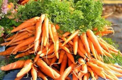 卵巢早衰吃什么食物调理？4